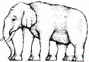 elephantuncountable