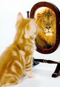 catlionreflection