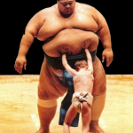 sumo